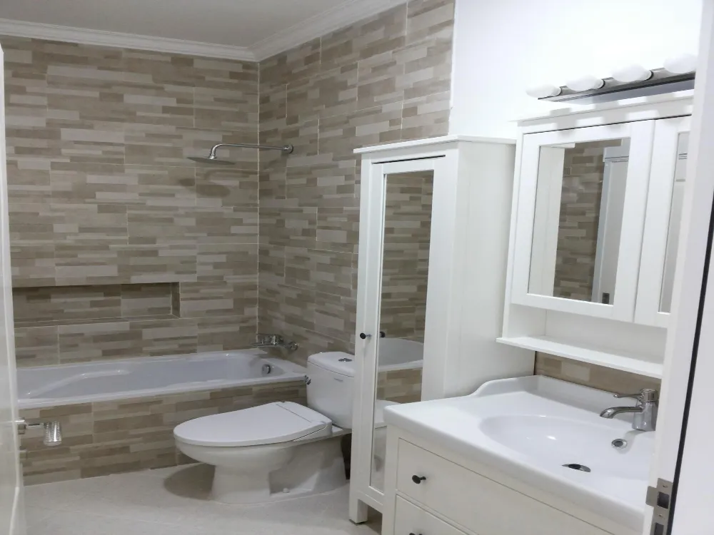 Modern bathroom vanity with glass shower and bathtub – Pro Dallas Bathroom